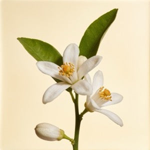 Neroli
